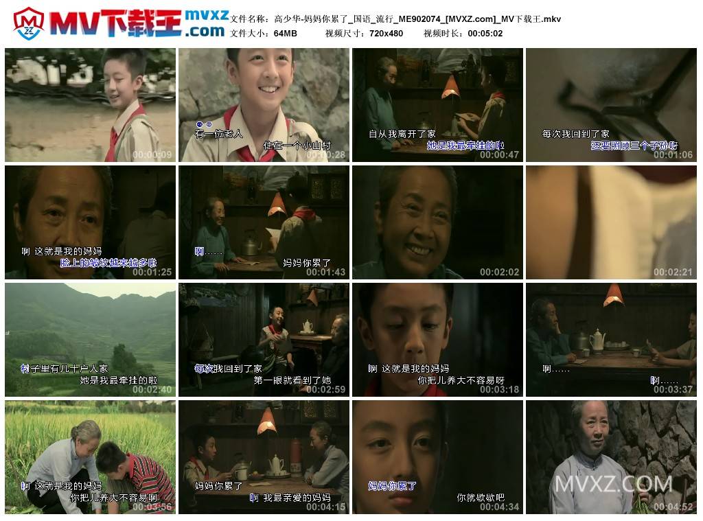 高少华-妈妈你累了_国语_流行_ME902074